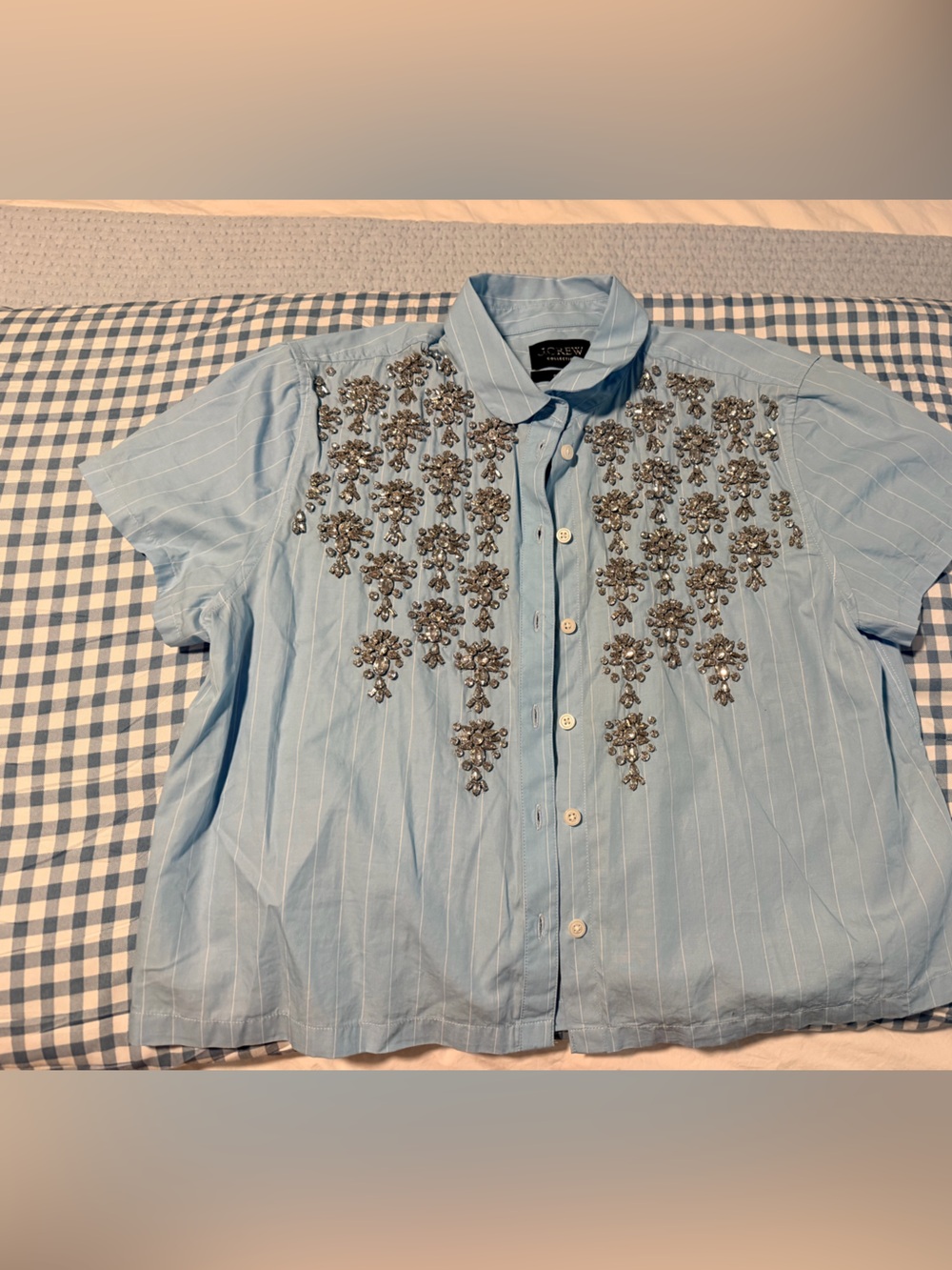 J. Crew Light Blue Pinstripe Embellished Button-Down - Picture 5 of 6